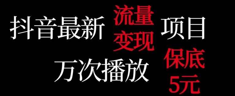 抖音流量变现，万次播放保底5元，额外收入-云创网