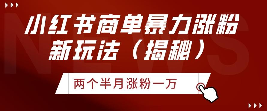 小红书商单暴力涨粉新玩法两个半月涨粉一万（揭秘）-云创网