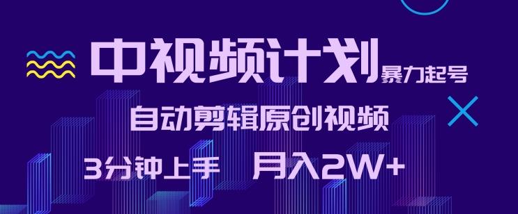 中视频计划暴力起号，自动剪辑原创视频，3分钟上手，月入2W+【揭秘】-云创网