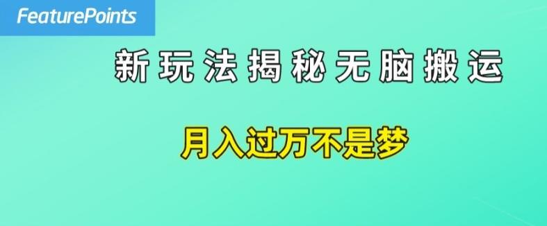简单操作，每天50美元收入，搬运就是赚钱的秘诀【揭秘】-云创网