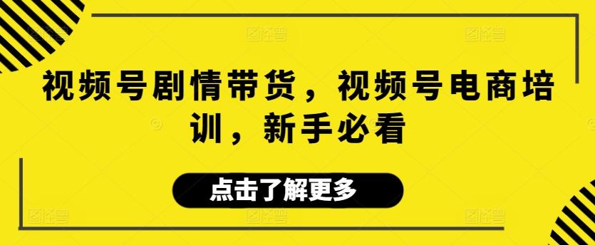 视频号剧情带货，视频号电商培训，新手必看-云创网