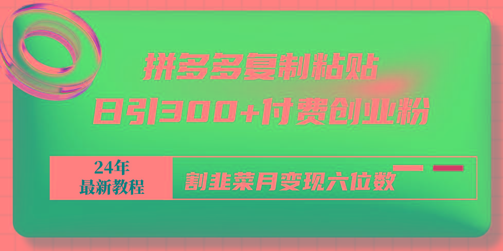拼多多复制粘贴日引300+付费创业粉，割韭菜月变现六位数最新教程！-云创网
