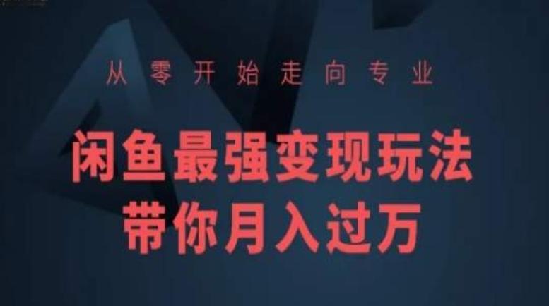 从零开始走向专业，闲鱼最强变现玩法带你月入过万-云创网