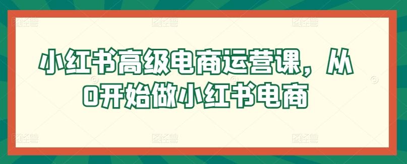 小红书高级电商运营课，从0开始做小红书电商-云创网