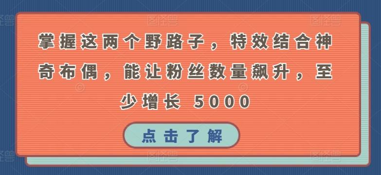 掌握这两个野路子，特效结合神奇布偶，能让粉丝数量飙升，至少增长 5000【揭秘】-云创网