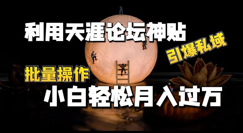 利用天涯论坛神贴，引爆私域，批量操作，小白轻松月入过w【揭秘】-云创网