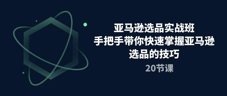亚马逊选品实战班，手把手带你快速掌握亚马逊选品的技巧(20节课-云创网