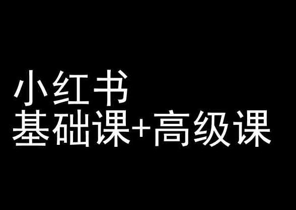 小红书基础课+高级课-小红书运营教程-云创网