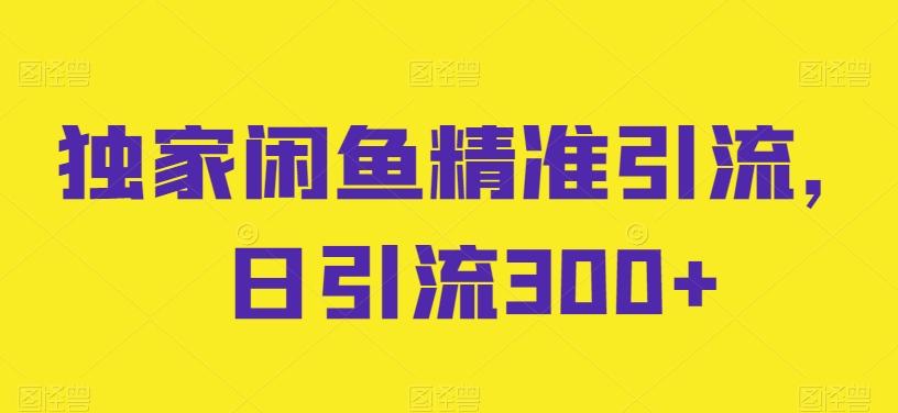 独家闲鱼精准引流，日引流300+【揭秘】-云创网