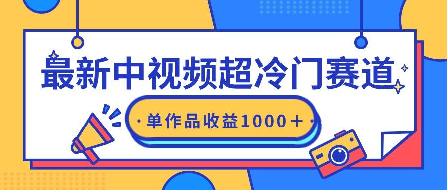 (9275期)最新中视频超冷门赛道，轻松过原创，单条视频收益1000＋-云创网