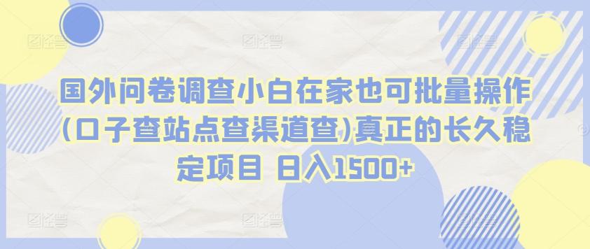 国外问卷调查小白在家也可批量操作(口子查站点查渠道查)真正的长久稳定项目 日入1500+【揭秘】-云创网