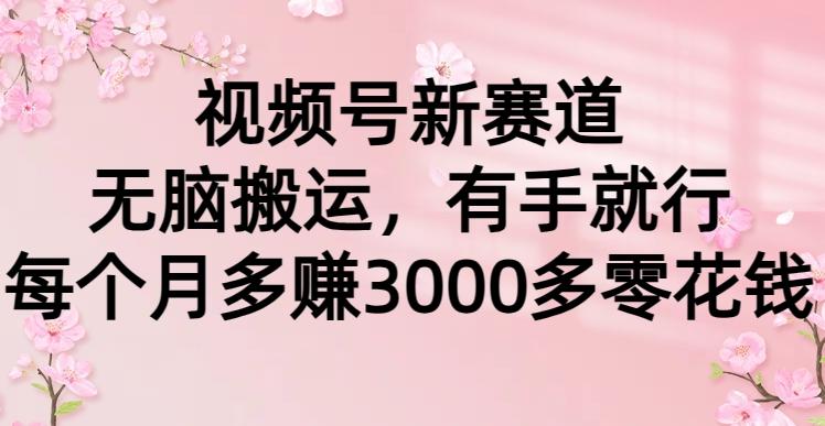 (9278期)视频号新赛道，无脑搬运，有手就行，每个月多赚3000多零花钱-云创网