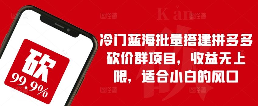 冷门蓝海批量搭建拼多多砍价群项目，收益无上限，适合小白的风口【揭秘】-云创网