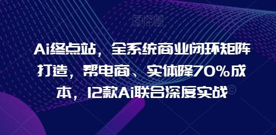 Ai终点站，全系统商业闭环矩阵打造，帮电商、实体降70%成本，12款Ai联合深度实战-云创网