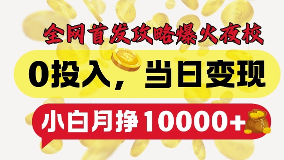 全网首发爆火夜校，0投入，当日变现，小白轻松月入1w+【揭秘】-云创网