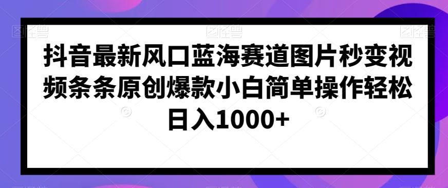 抖音最新风口蓝海赛道图片秒变视频条条原创爆款小白简单操作轻松日入1000+-云创网