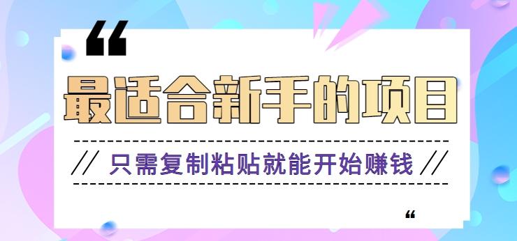 2024最适合新手操作的项目，新手小白只需复制粘贴就能开始赚钱【视频教程+软件】-云创网