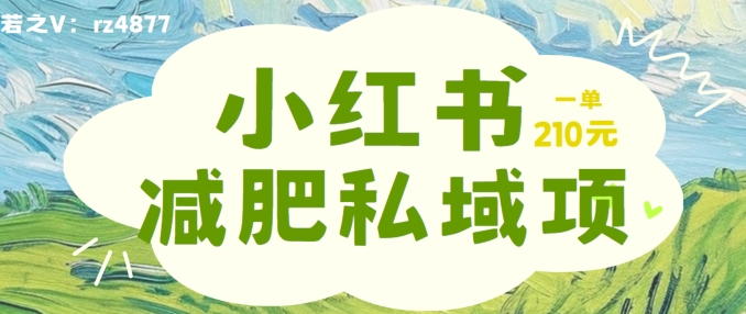 小红书减肥粉，私域变现项目，一单就达210元，小白也能轻松上手【揭秘】-云创网