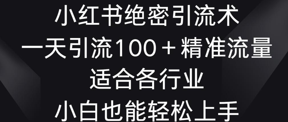 小红书绝密引流术，一天引流100+精准流量，适合各个行业，小白也能轻松上手【揭秘】-云创网