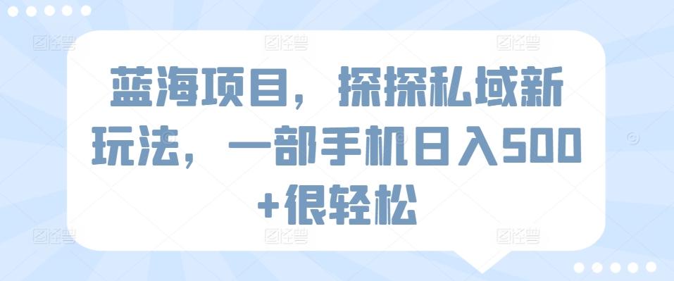 蓝海项目，探探私域新玩法，一部手机日入500+很轻松【揭秘】-云创网