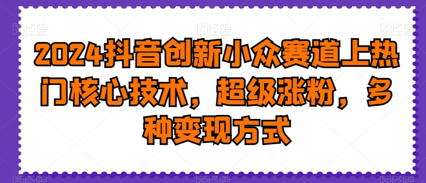 2024抖音创新小众赛道上热门核心技术，超级涨粉，多种变现方式【揭秘】-云创网