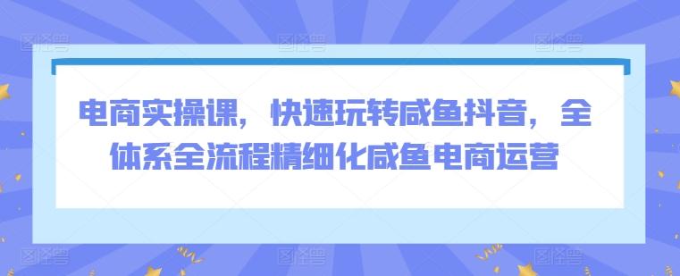 电商实操课，快速玩转咸鱼抖音，全体系全流程精细化咸鱼电商运营-云创网