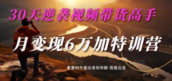 30天逆袭视频带货高手，单月变现6万加特训营-麦子甜-云创网