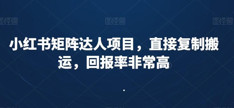 小红书矩阵达人项目，直接复制搬运，回报率非常高-云创网