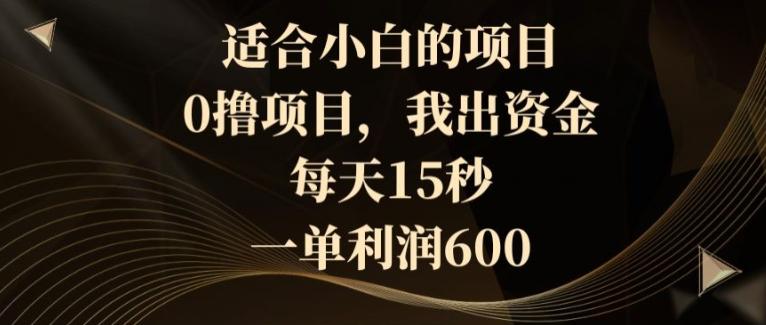 适合小白的项目，0撸项目，我出资金，每天15秒，一单利润600-云创网