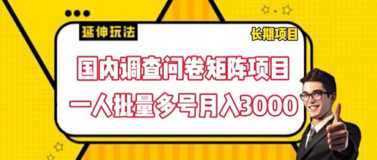 国内调查问卷矩阵项目，一人批量多号月入3000【揭秘】-云创网
