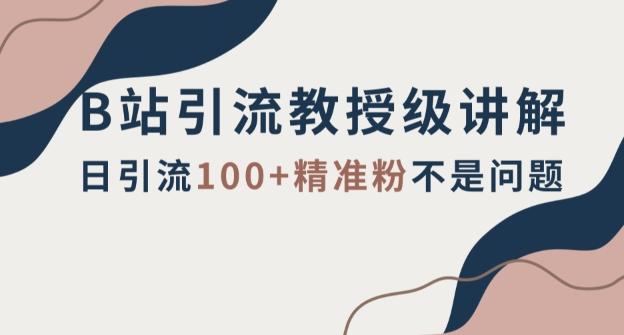 B站引流教授级讲解，细节满满，日引流100+精准粉不是问题【揭秘】-云创网