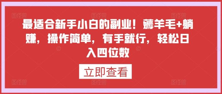最适合新手小白的副业！薅羊毛+躺赚，操作简单，有手就行，轻松日入四位数【揭秘】-云创网