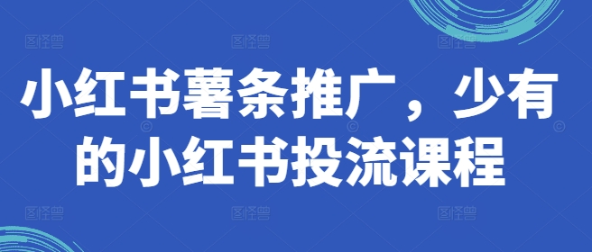 小红书薯条推广，少有的小红书投流课程-云创网