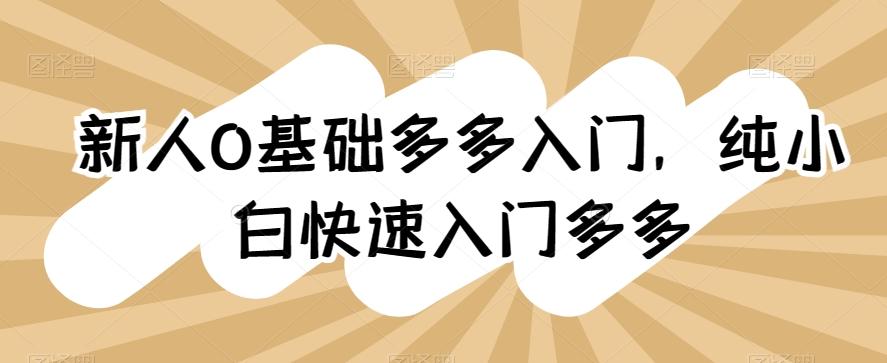 新人0基础多多入门，​纯小白快速入门多多-云创网