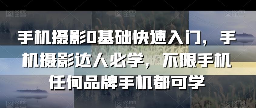 手机摄影0基础快速入门，手机摄影达人必学，不限手机任何品牌手机都可学-云创网