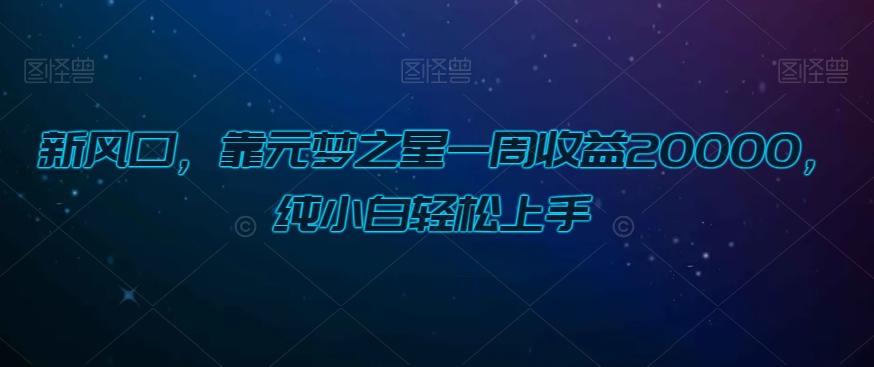 新风口，靠元梦之星一周收益20000，纯小白轻松上手-云创网