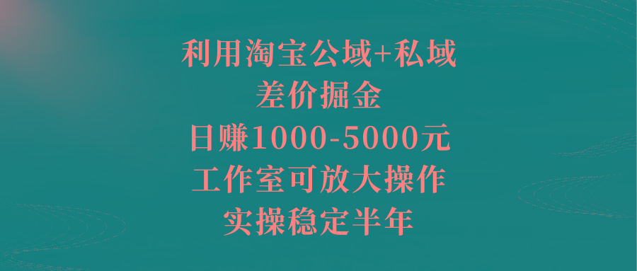 利用淘宝公域+私域差价掘金，日赚1000-5000元，工作室可放大操作，实操…-云创网