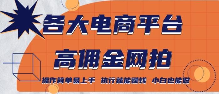 各大电商平台高佣金网拍，操作简单易上手，执行就能赚钱，小白也能做-云创网