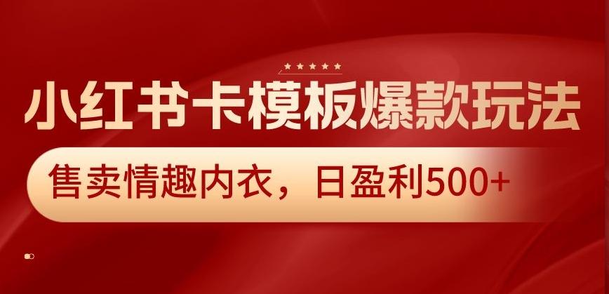 小红书卡模板爆款玩法，售卖情趣内衣，日盈利500+【揭秘】-云创网