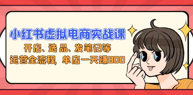 小红书虚拟电商实战课：开店、选品、发笔记等运营全流程，单店一天赚800-云创网