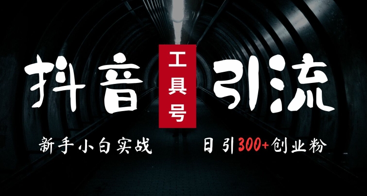 2024最新抖音工具号引流玩法，高效日引300+创业粉，当天变现5k，小白也可成为实战高手-云创网