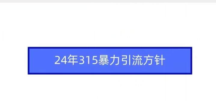 24年315暴力引流方针-云创网
