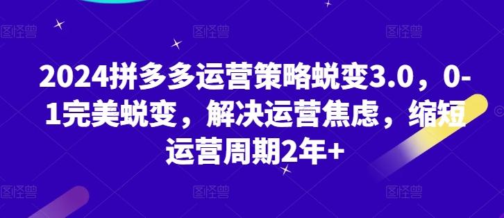 2024拼多多运营策略蜕变3.0，0-1完美蜕变，解决运营焦虑，缩短运营周期2年+-云创网