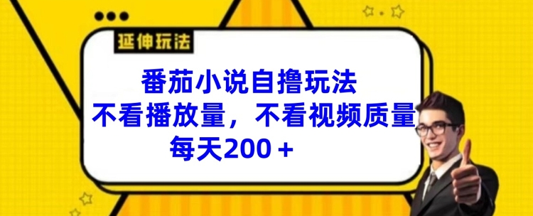 番茄小说自撸玩法，不看播放量，不看视频质量，每天200+【揭秘】-云创网