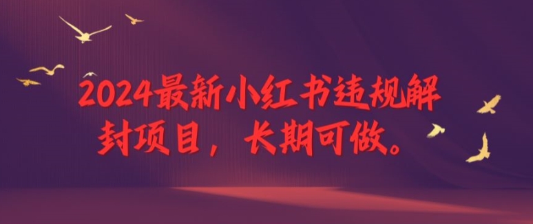 2024最新小红书违规解封项目，长期可做，一个可以做到退休的项目【揭秘】-云创网