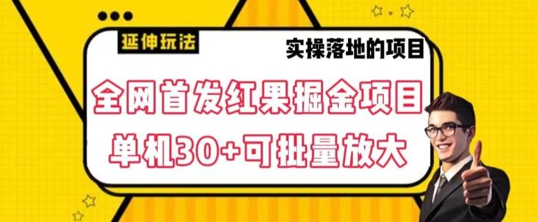 全网首发红果免费短剧掘金项目，单机30+可批量放大【揭秘】-云创网