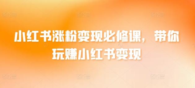 小红书涨粉变现必修课，带你玩赚小红书变现-云创网