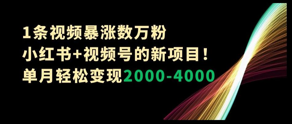 1条视频暴涨数万粉–小红书+视频号的新项目！单月轻松变现2000-4000【揭秘】-云创网