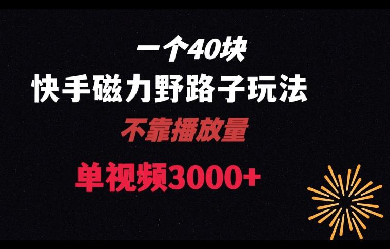 一个40块，快手联合美团磁力新玩法，无视机制野路子玩法，单视频收益4位数【揭秘】-云创网
