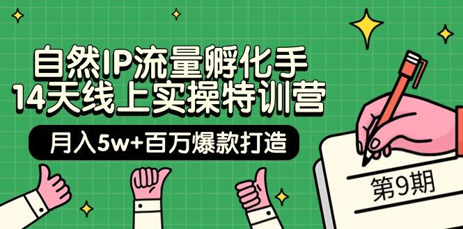 (9881期)自然IP流量孵化手 14天线上实操特训营【第9期】月入5w+百万爆款打造 (74节)-云创网
